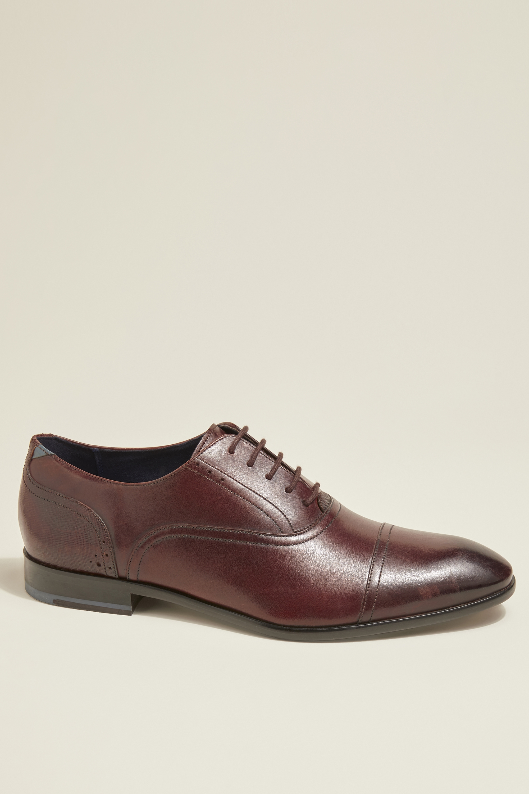 ted baker maroon shoes