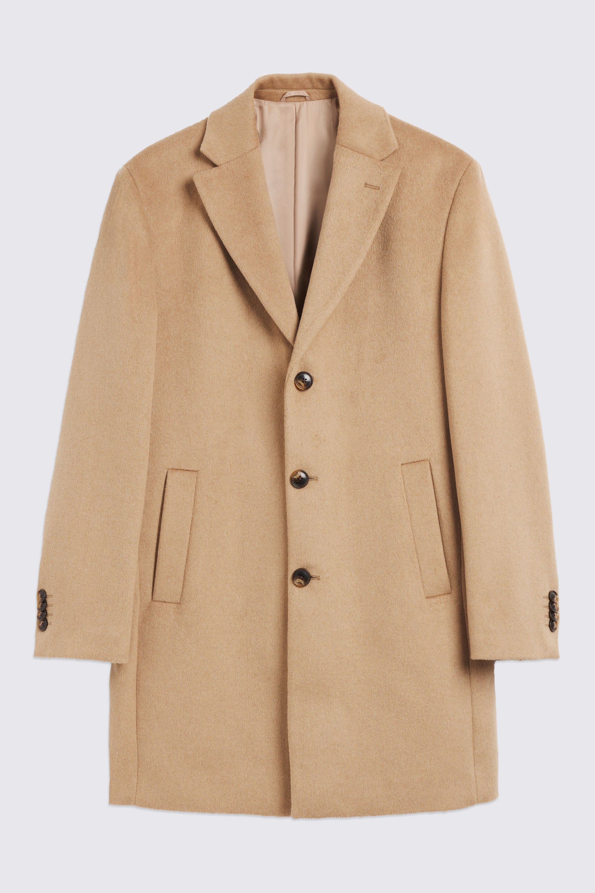 Camel Epsom