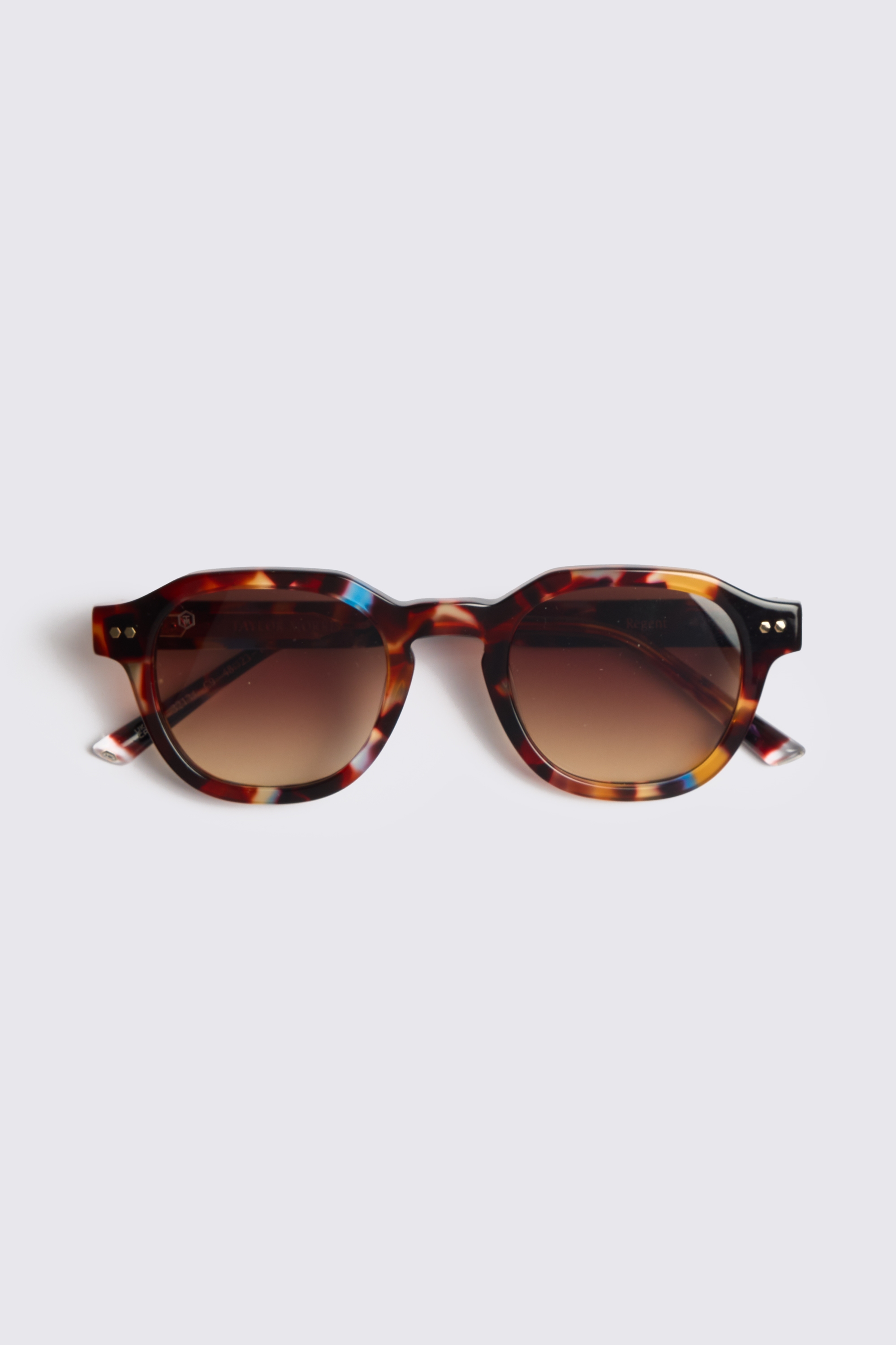 Blue Acetate Tortoise Regent Sunglasses