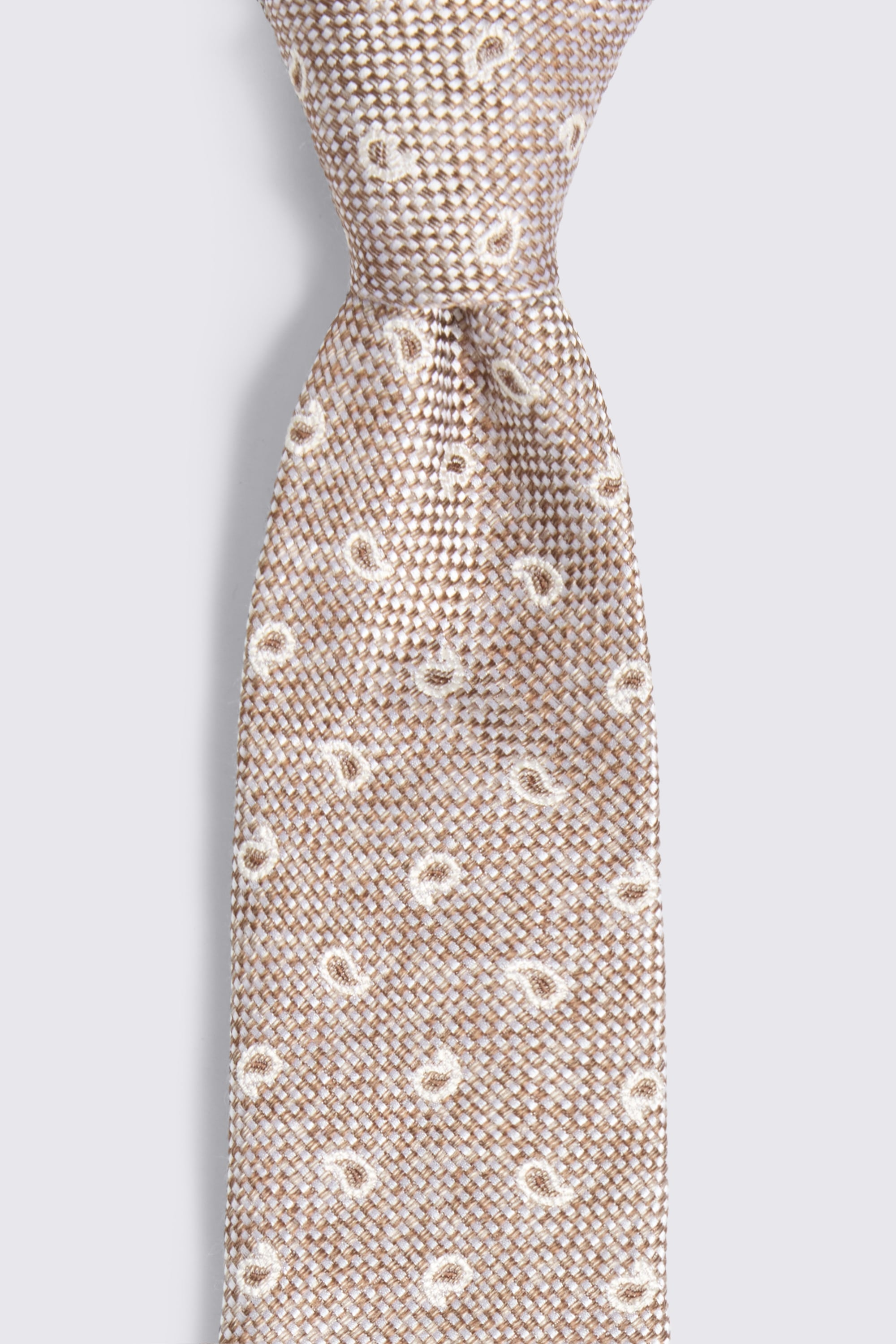 Neutral Paisley Tie